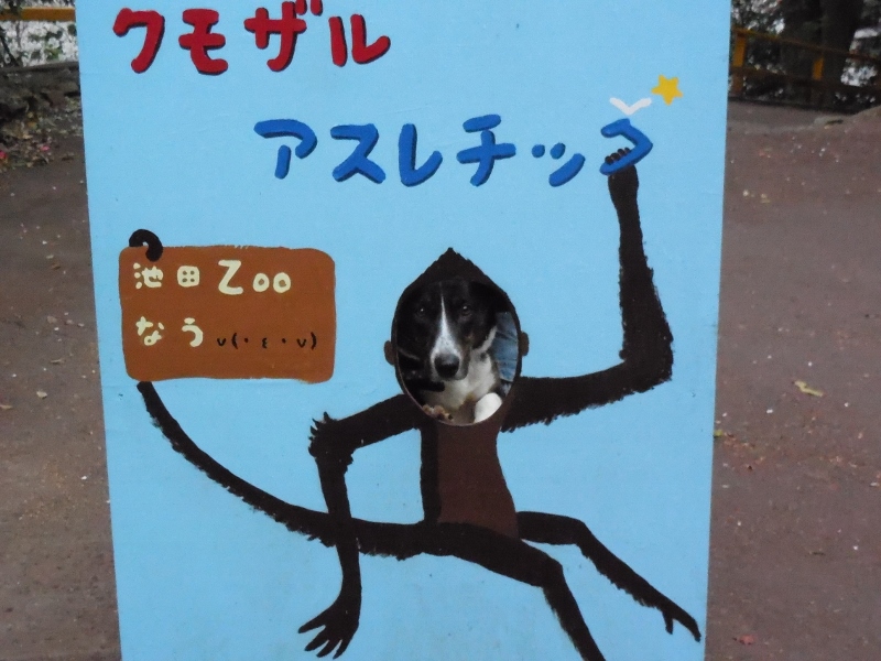 2014.04.05.13.jpg